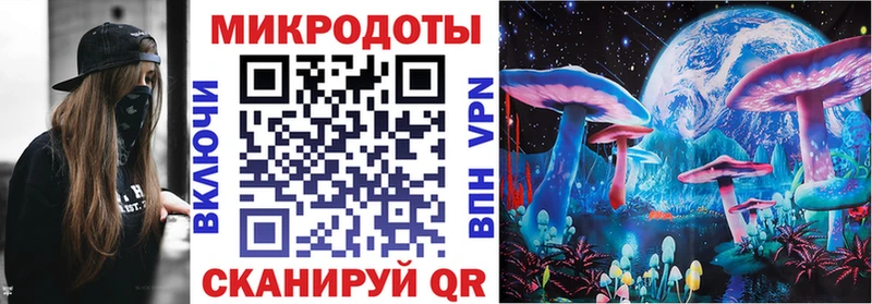 Псилоцибиновые грибы мицелий Салехард